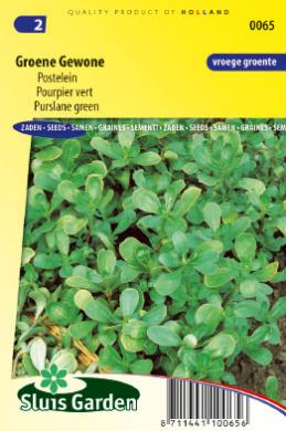 Postelein groene (Portulaca oleracea) 10000 zaden